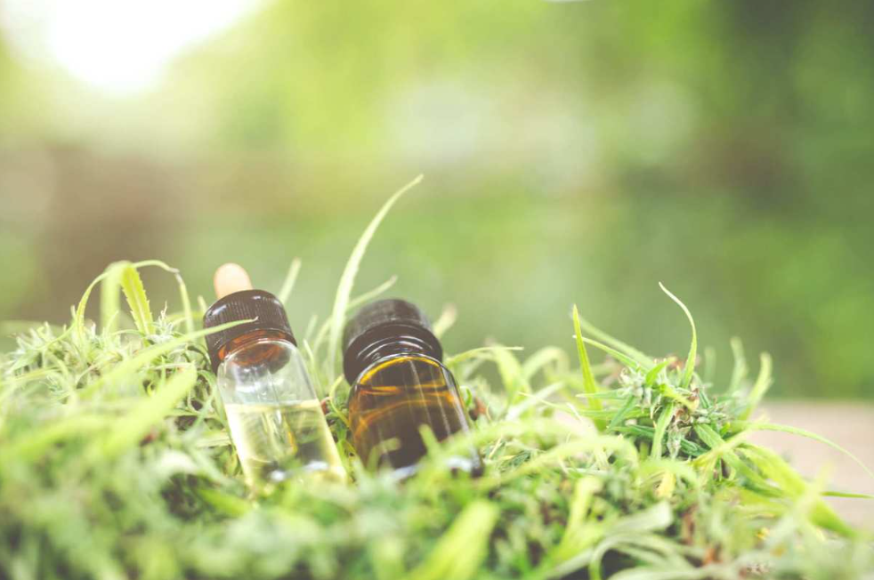 Cbd Isolate Vs Cbd Distillate Review