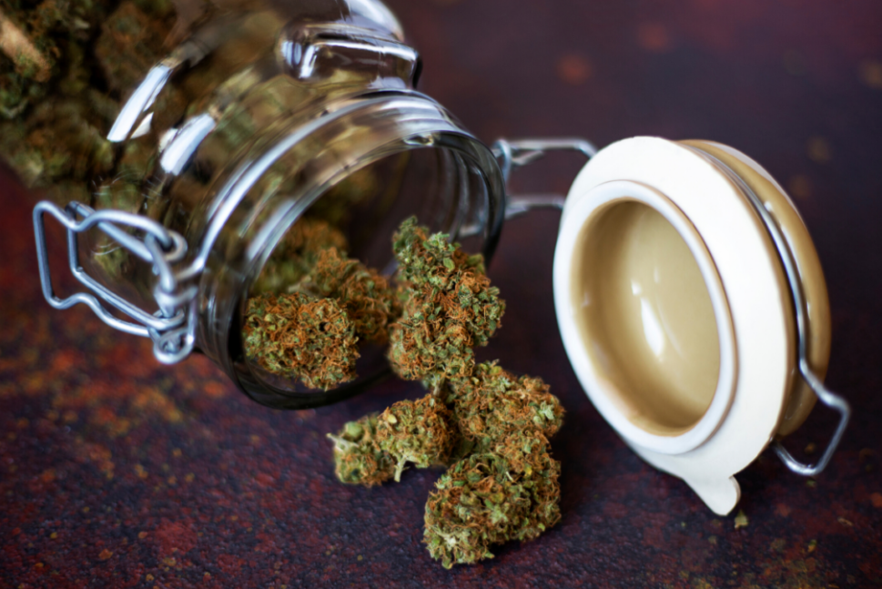 Best Hemp Flower Strains Review